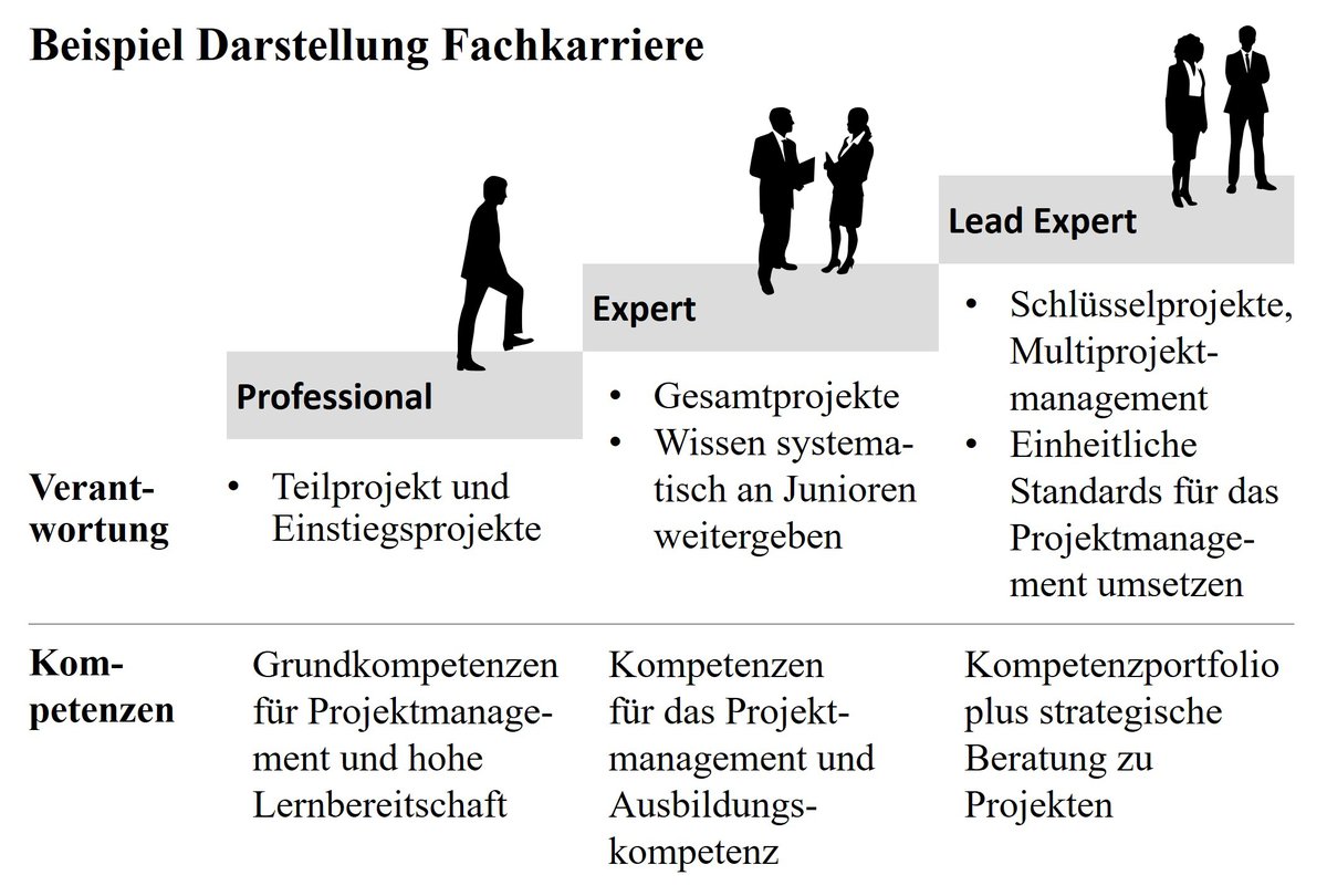 Beispiel Darstellung Fachkarriere.jpg