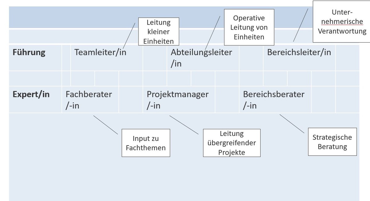 Fachkarrieren